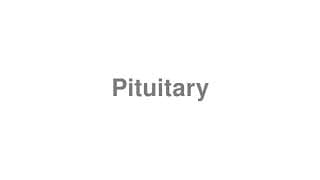 Pituitary