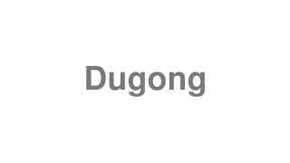 Dugong