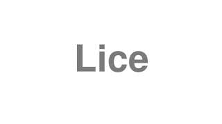 Lice