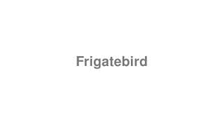 Frigatebird