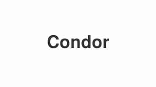Condor