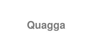 Quagga
