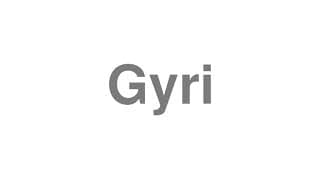 Gyri
