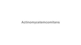 Actinomycetemcomitans