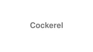 Cockerel