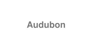 Audubon