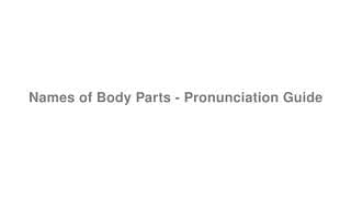 Names of Body Parts - Pronunciation Guide