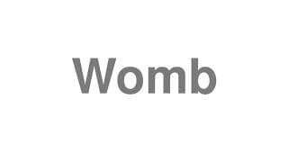 Womb