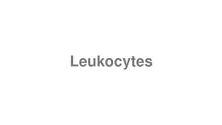 Leukocytes