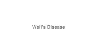 Weil's Disease