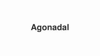 Agonadal
