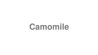 Camomile