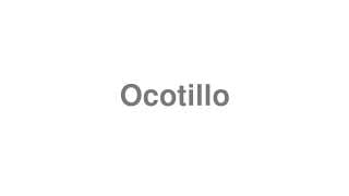 Ocotillo