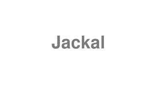 Jackal