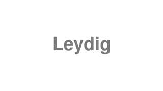 Leydig
