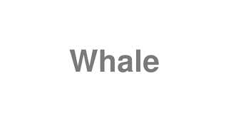 Whale