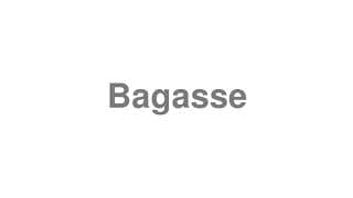 Bagasse