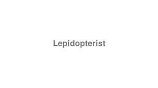Lepidopterist