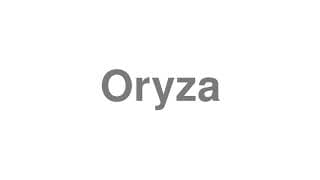 Oryza