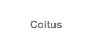 Coitus
