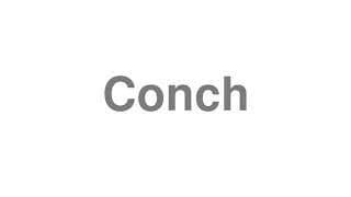 Conch
