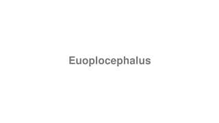 Euoplocephalus