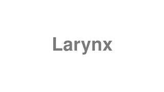 Larynx