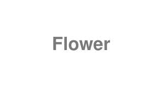 Flower