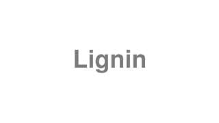 Lignin