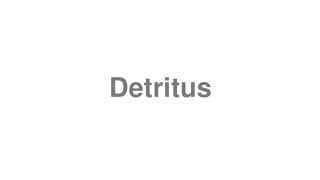 Detritus