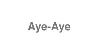 Aye-Aye