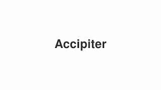 Accipiter