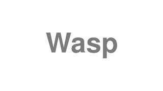 Wasp