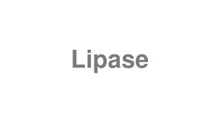 Lipase