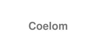 Coelom
