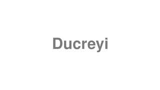 Ducreyi