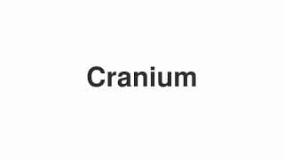Cranium