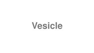 Vesicle