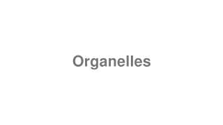 Organelles