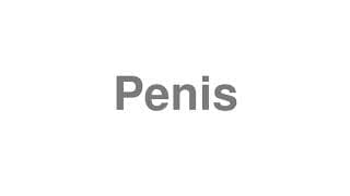 Penis