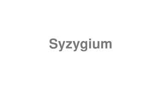 Syzygium