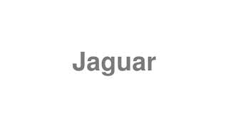 Jaguar