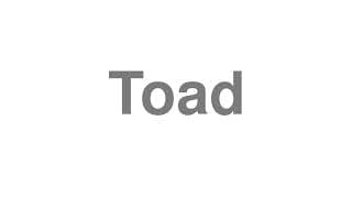 Toad