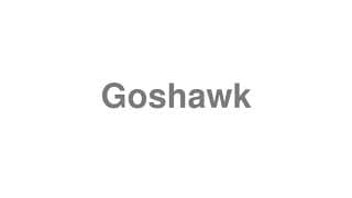 Goshawk