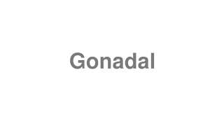 Gonadal