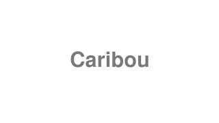 Caribou