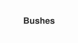 Bushes
