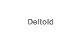 Deltoid