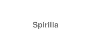 Spirilla