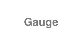 Gauge